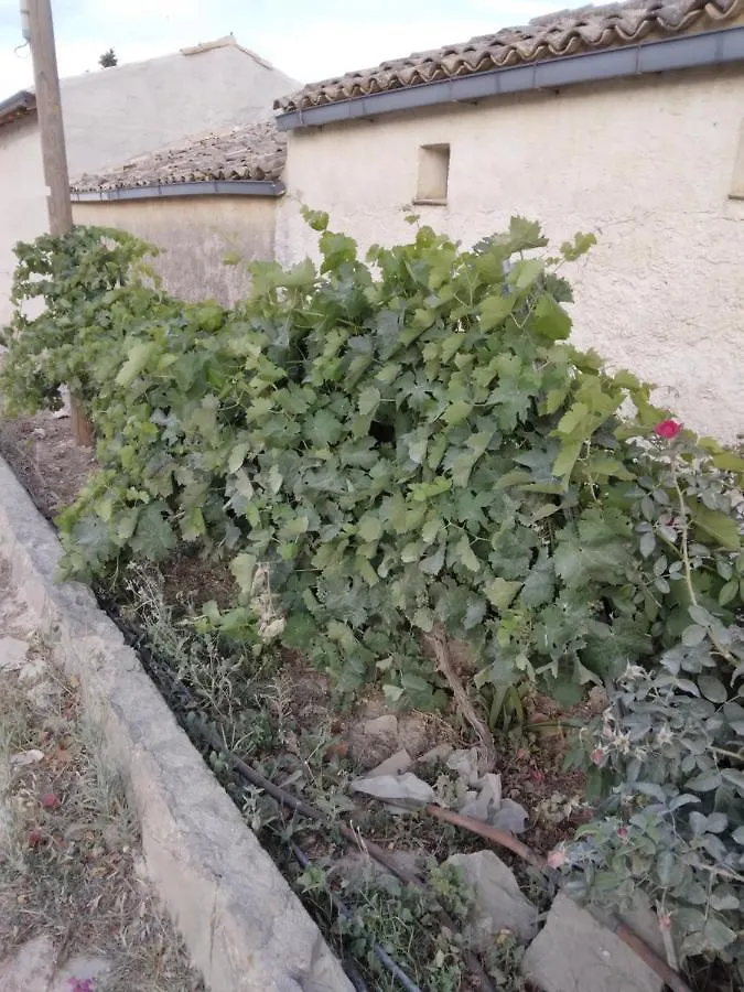Casa vacanze La Casa di Anna Villa Balata di Baida