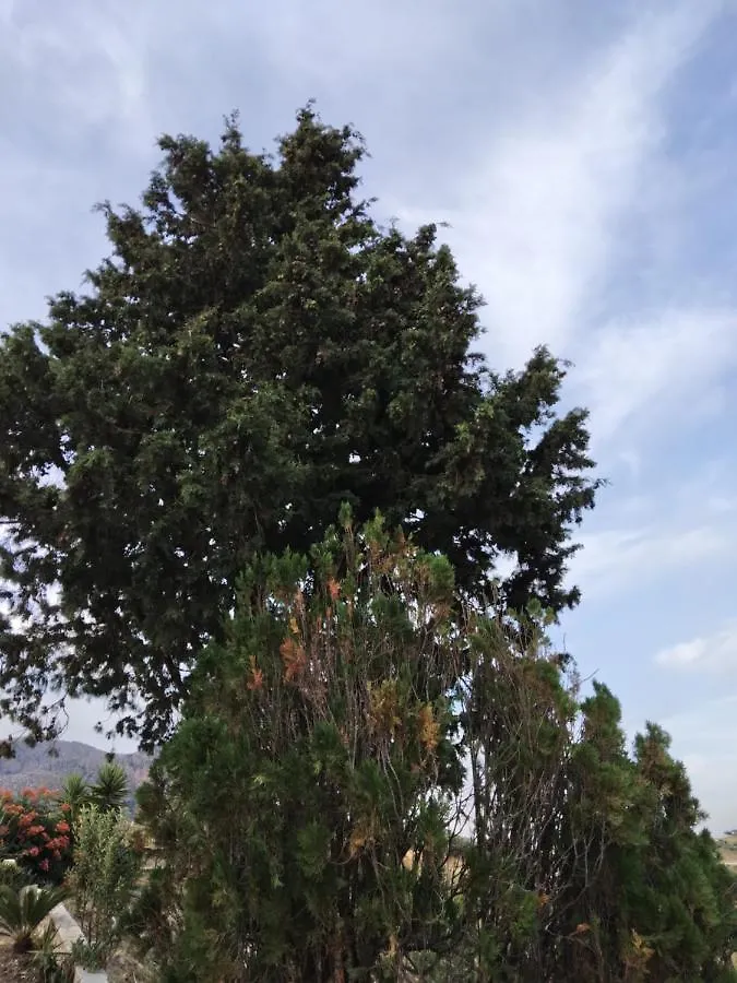 La Casa Di Anna Villa Balata di Baida Italy